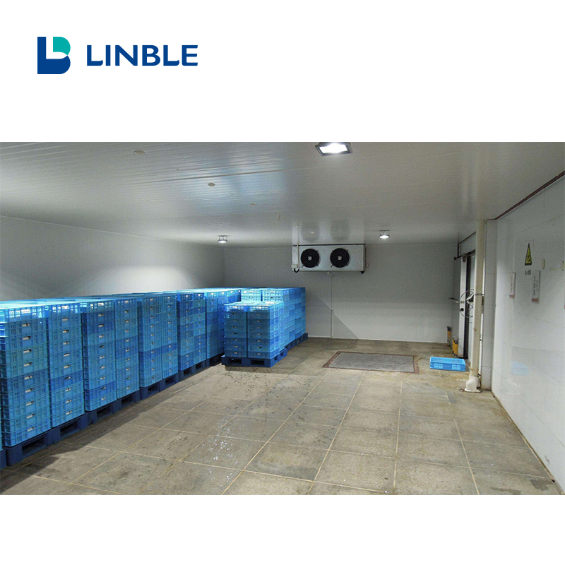 100CBM Cold Room for Fruit And Vegetable 